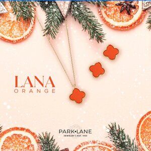 BNIB Designer-inspired Lana Necklace and Earring set
